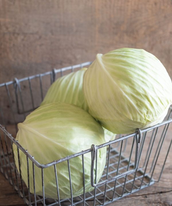 Typhoon - (F1) Cabbage Seed