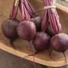 Subeto - Organic (F1) Beet Seed