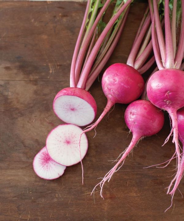 Hirosaki Red - (F1) Turnip Seed