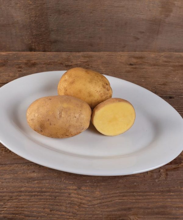 Belmonda - Seed Potatoes