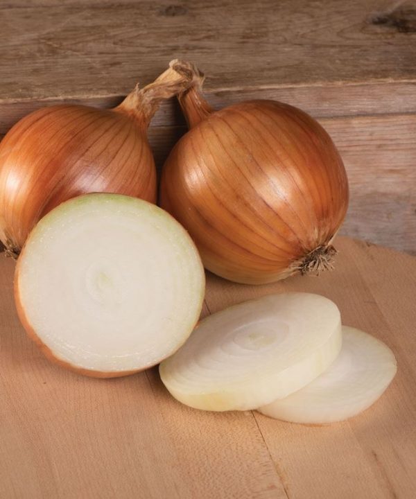 Talon - Organic (F1) Onion Seed