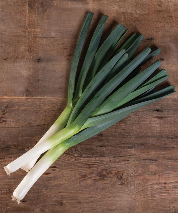 Comanche - (F1) Leek Seed