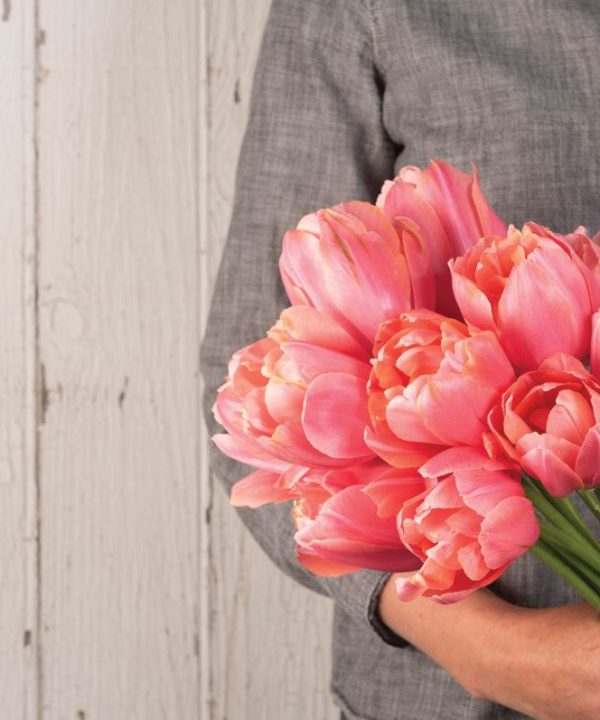 Menton Exotic - Tulip Bulb