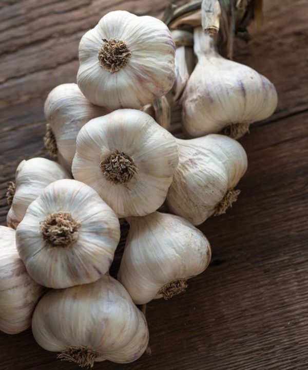 Inchelium Red - Organic Garlic Bulbs