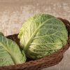 Clarissa - (F1) Cabbage Seed