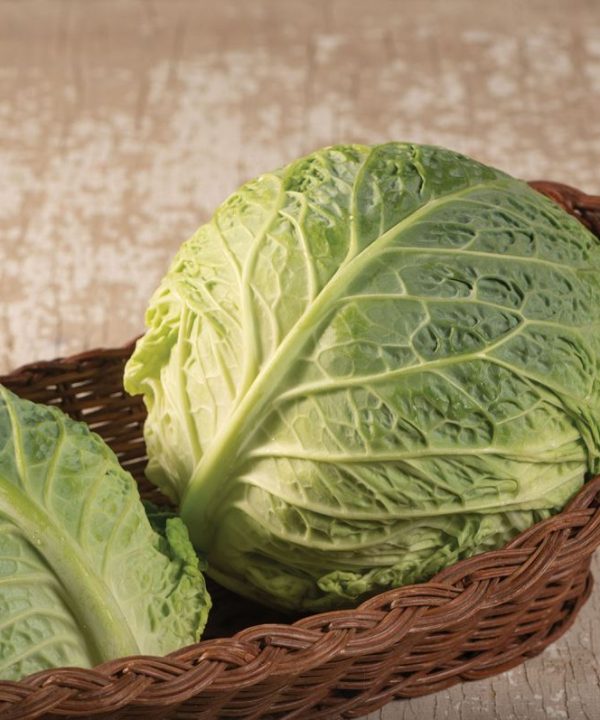 Clarissa - (F1) Cabbage Seed