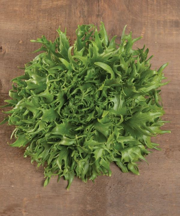 Frisygo - Lettuce Seed