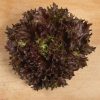 Rubygo - Lettuce Seed