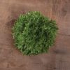 Verigo - Lettuce Seed