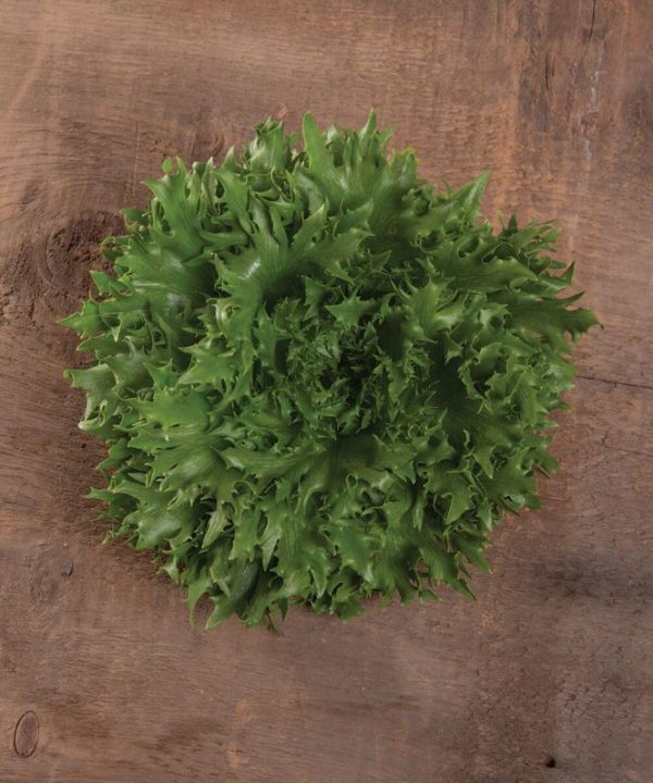 Verigo - Lettuce Seed