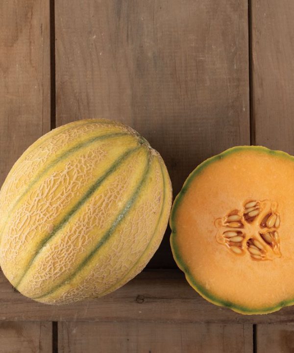 Milan - (F1) Melon Seed