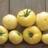 Marvori - (F1) Tomato Seed