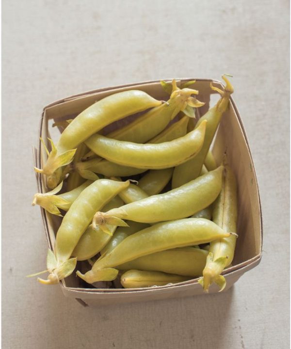 Honey Snap II - Golden Yellow Snap Pea Seeds