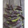 Royal Snap II - Purple Pea Seeds
