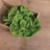 Little Gem - Organic Lettuce Seed