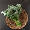 BC1611 - Sprouting Broccoli Seeds