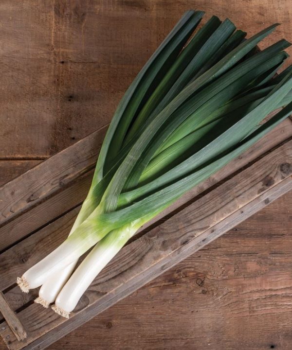 Jumper - (F1) Leek Seed