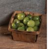 Sungreen 4029 - (F1) Tomato Seed