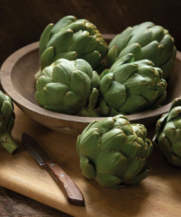 Tavor - Organic Artichoke Seed