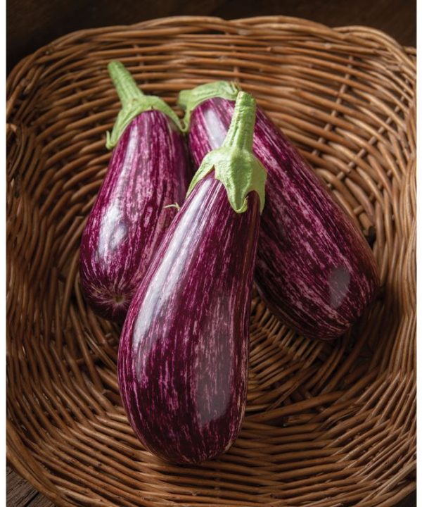 Annina - Organic (F1) Eggplant Seed