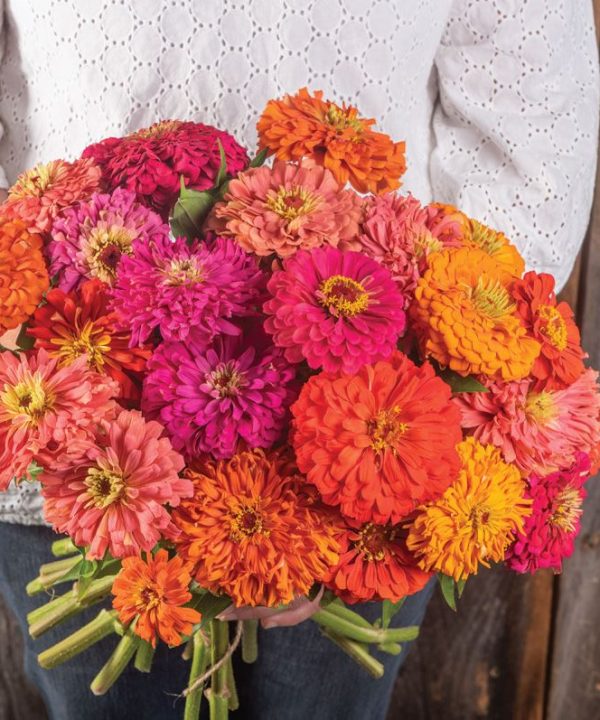 Jim Baggett's Choice Mix - Organic Zinnia Seed