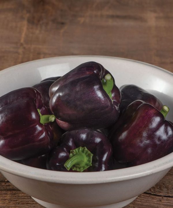 Lilo - Organic (F1) Bell Pepper Seed