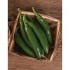 Altiplano - (F1) Serrano Pepper Seed