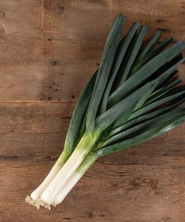 Surfer - Organic (F1) Leek Seed