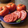 Grand Marshall - (F1) Tomato Seed