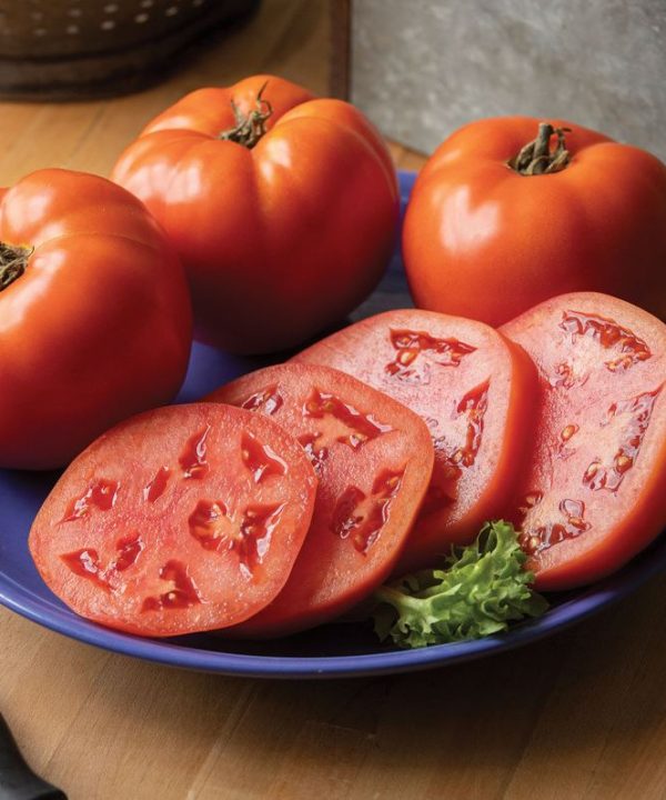 Grand Marshall - (F1) Tomato Seed