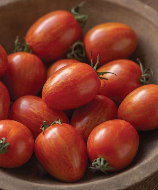 Red Torch - (F1) Tomato Seed