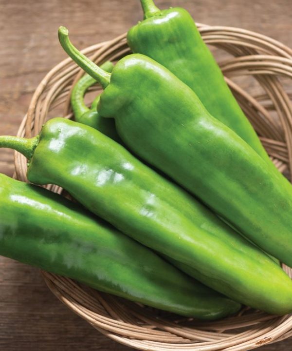 Charger - (F1) Anaheim Pepper Seed
