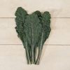 Dazzling Blue - Organic Kale Seed