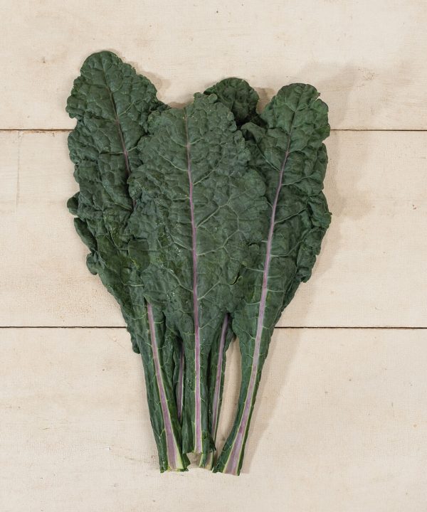 Dazzling Blue - Organic Kale Seed