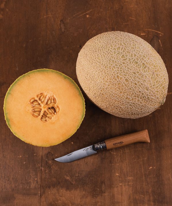 Triton - (F1) Melon Seed