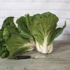 Bopak - Organic (F1) Green Seed