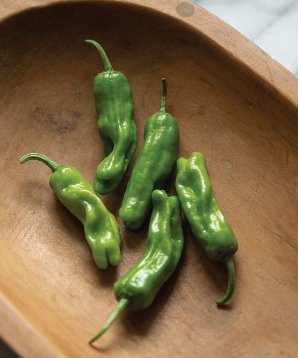 Shishito - Organic (F1) Shishito Pepper Seed