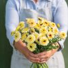 Ivory Princess - Calendula Seed