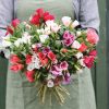 Grace Mix - Clarkia Seed