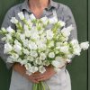 Champion White II - (F1) Campanula Seed
