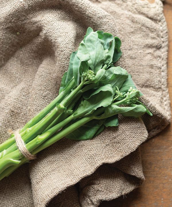 Melody - (F1) Broccoli Seed