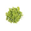 Sempre Bianca - Endive Seed