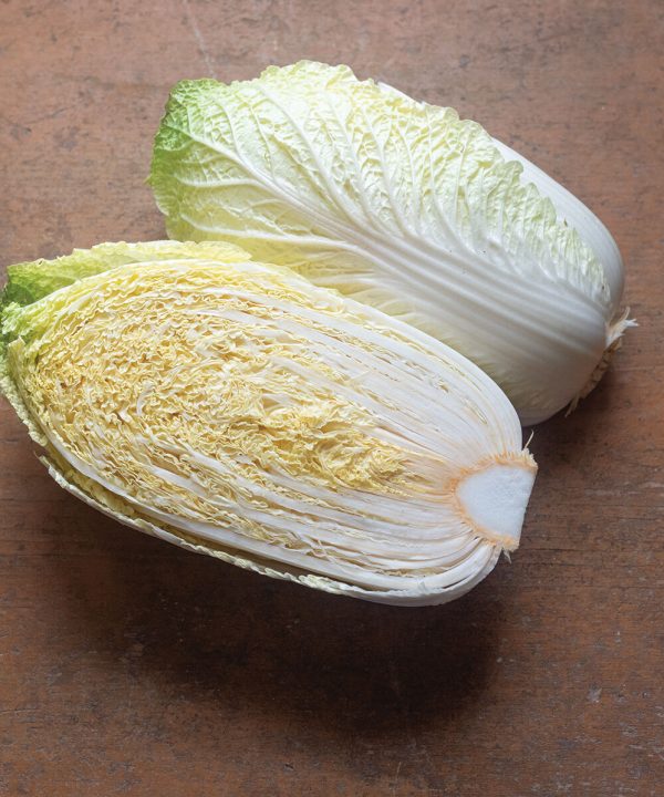Citrus - Orange Chinese Cabbage Seeds