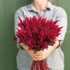 Celway? Red - Celosia Seed