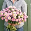 Bonita Shell Pink - Film-Coated China Aster Seed