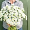 Bonita White - Film-Coated China Aster Seed
