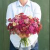 Flowerburst? Red Shades - Yarrow Seed