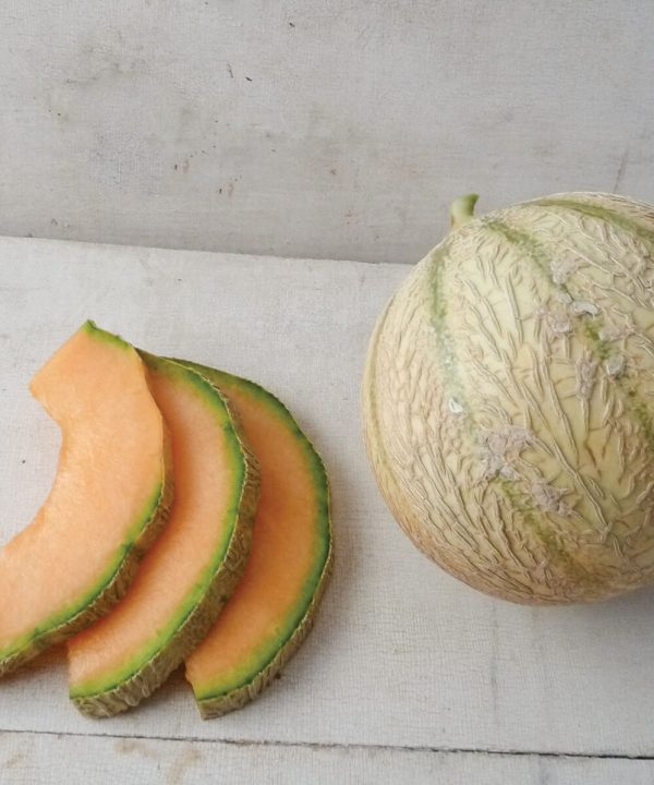D'Artagnan - (F1) Melon Seed