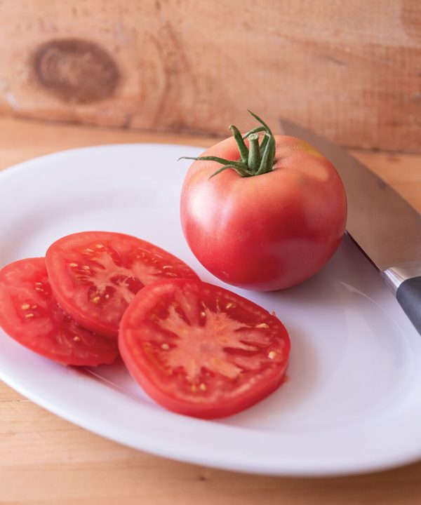 Enroza - Organic (F1) Tomato Seed