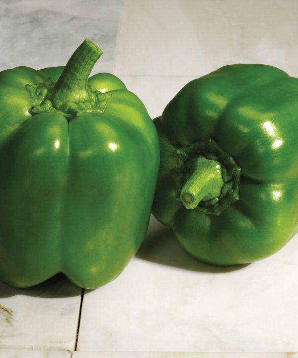 Classic - (F1) Bell Pepper Seed